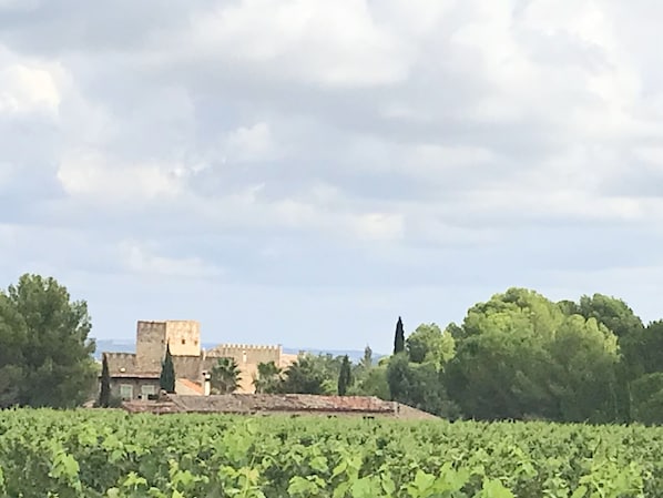 Savignac le Haut au milieu des vignes