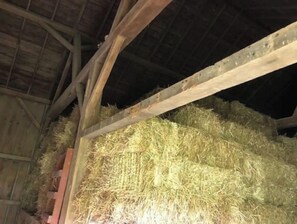 Miscellaneous