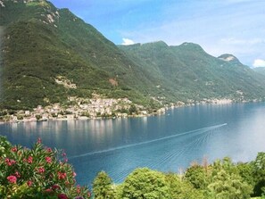 Scenery