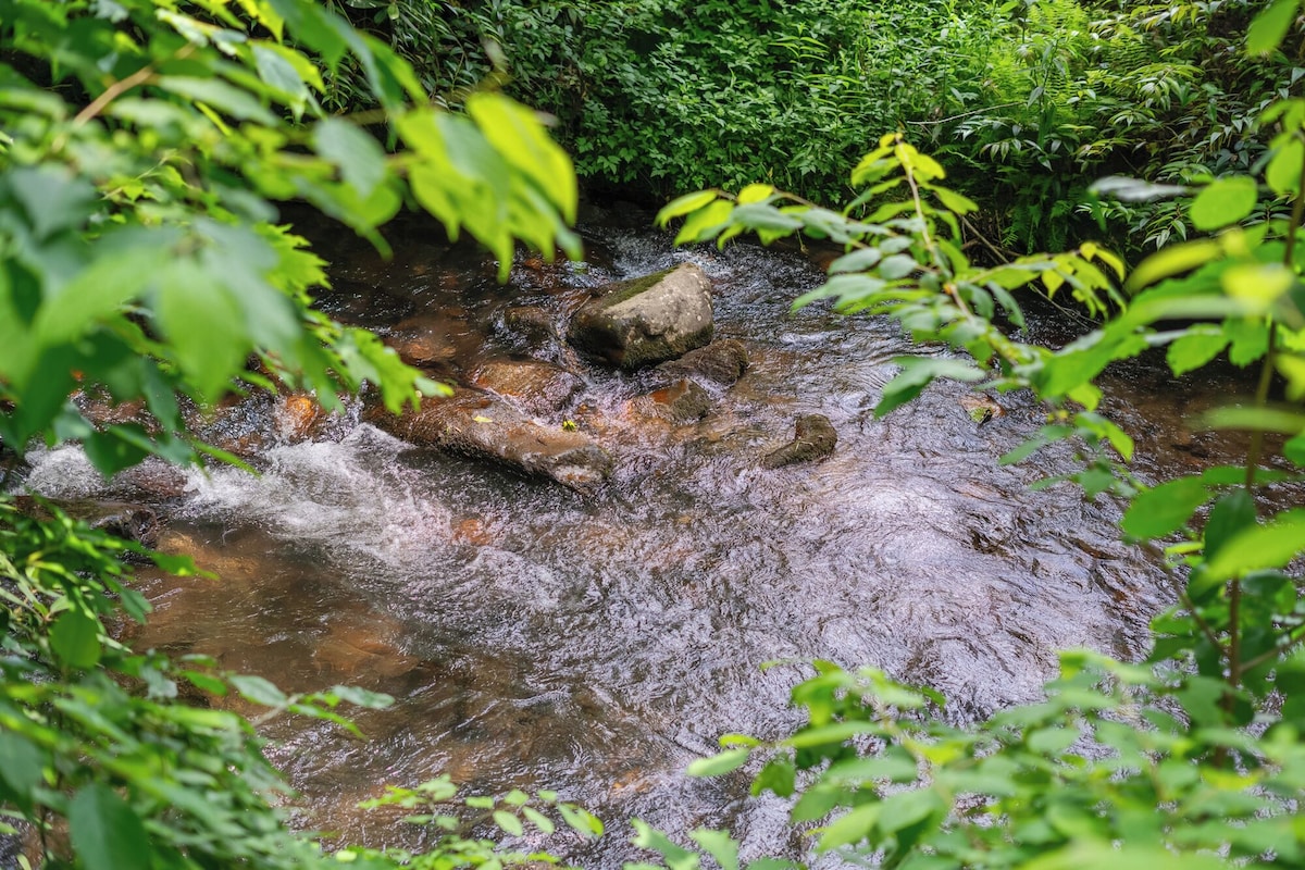 Cozy Creekside Cottage near Folk School, Murphy, and Hayesville