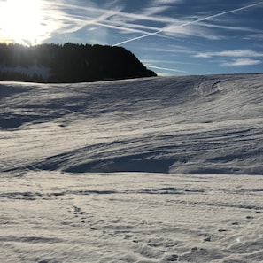 Wintersport/Ski