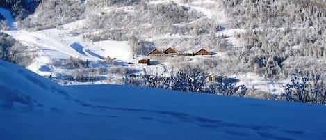 Sneeuw- en skisporten