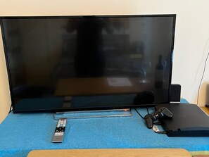 Television