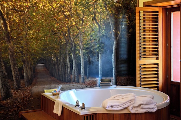 Private spa tub