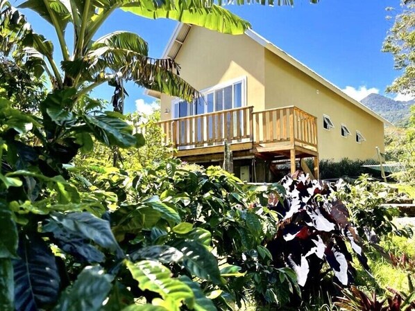Entry to casita on deck