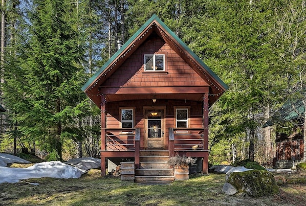 "Mini #3" is the most family-friendly cabin on the SkyCamp property