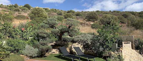 our jacuzzi surrounded by the
mediterranean scrubs