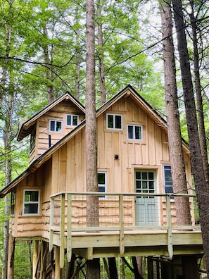 Front of the treehouse sits 12' in a maple and Hemlock tree