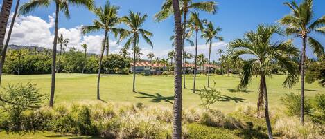 Located on the fairway of the Kona Country Club
