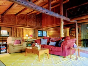 Comfortable living room with wood stove and fireplace.