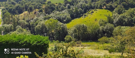 Overnatningsstedets område