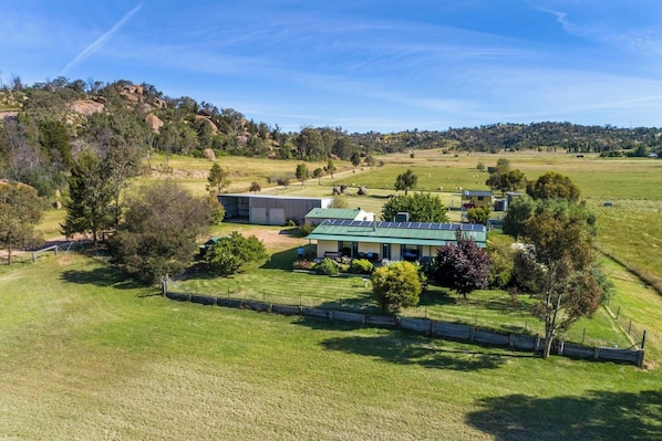 Enjoy lush surroundings and being greeted by farm animals in some mornings.