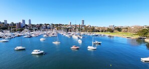 Actual views from the massive private terrace. Rushcutters Bay and Park views.