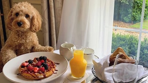Dog Friendly