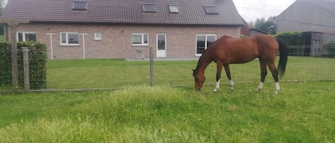 BoendeomrÄde