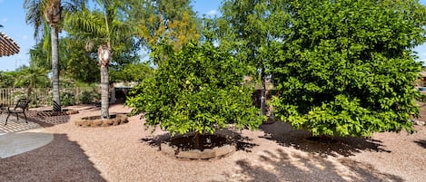 Jardines del alojamiento