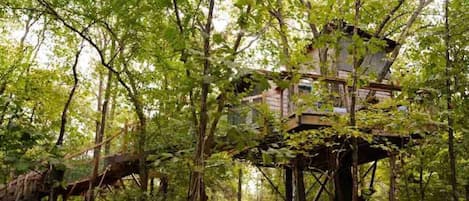 Bigfoot's Treehouse is a magical place to stay!