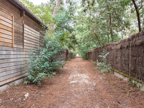 Plant, Road Surface, Land Lot, Wood, Tree, Grass, Natural Landscape, Groundcover, Road, Shrub
