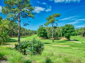 Woody Plant, Garden, Plantation, Park, Botanical Garden, Landscaping, Evergreen