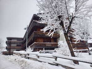 Gebäude, Schnee, Himmel, Haus, Holz, Zweig, Fenster, Baum, Pflanze, Gehölz