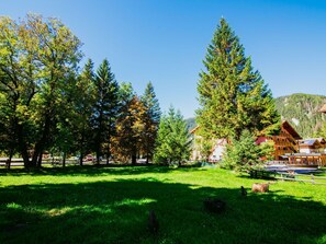 Pflanze, Himmel, Natürliche Landschaft, Lärche, Baum, Grundstueck, Vegetation, Sonnenlicht, Gras