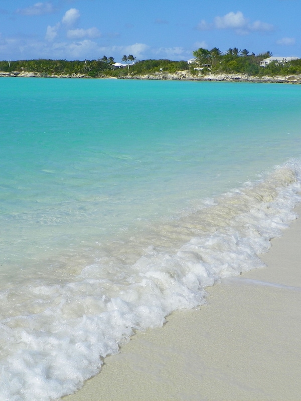 Jolly Hall Beach is a 6 minute walk away. Zebrafish Beacha 3 minute walk!