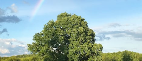 Overnatningsstedets område