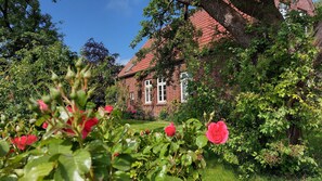 Lauschiger Gartenausschnitt