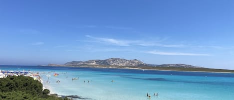 Vue sur la plage ou l’océan