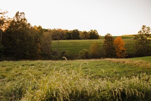 Terrain de l’hébergement 