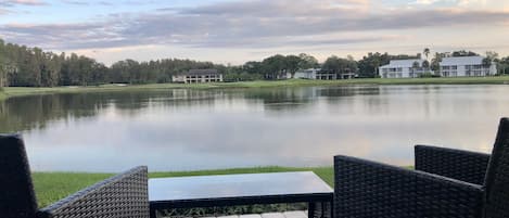 Patio Lake View with 16th Green of Saddlebrook Course 