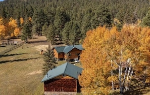 Fall colors on our acre!