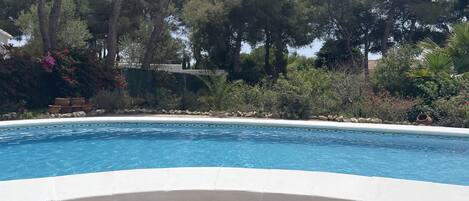 Private large pool in tranquil garden