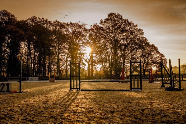 Sport court