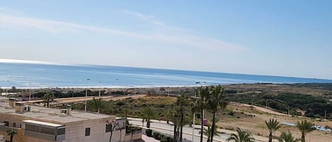 Vue sur la plage/l’océan