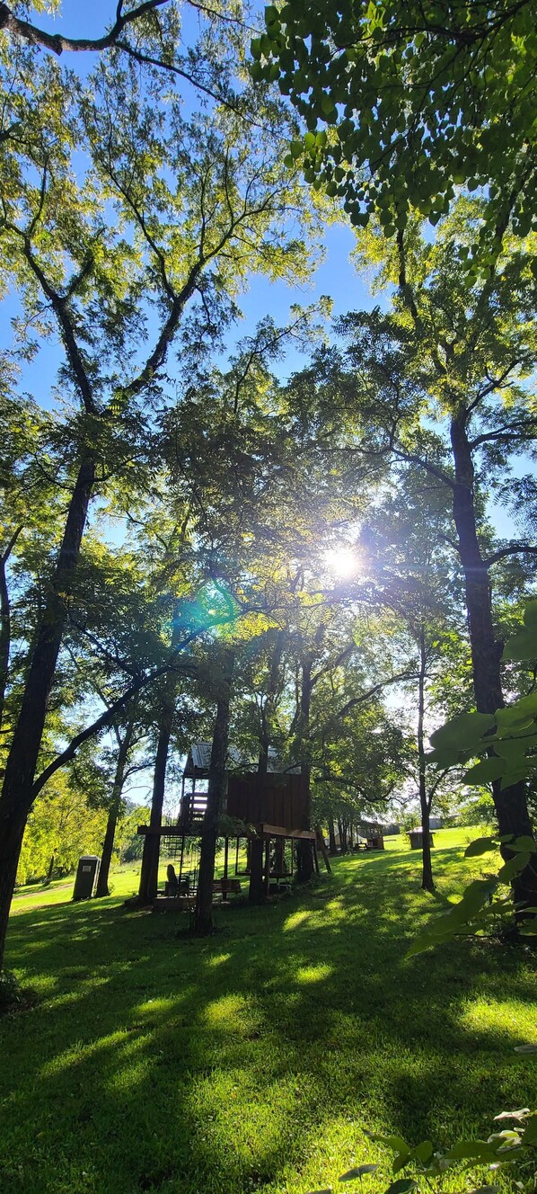 Boendeområde