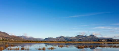 Porthmadog at its best!