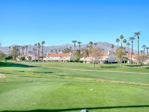 View From Your Back Patio!! 😍😎🌵