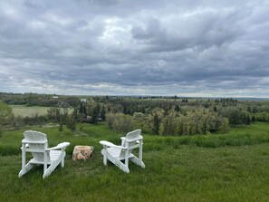 Backyard view