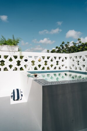 Cool off in the private rooftop plunge pool