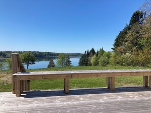 View from the back porch
