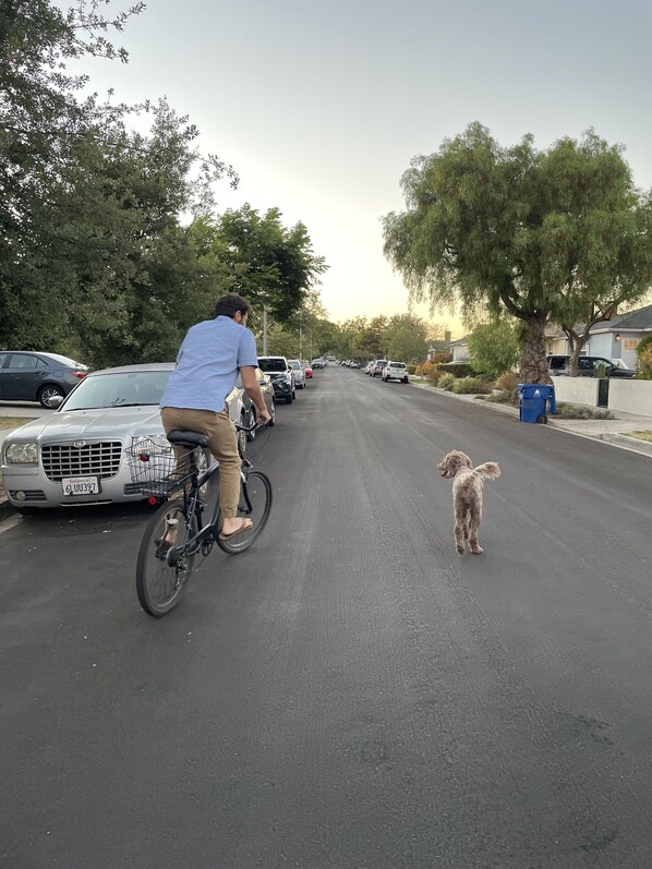 Parkering