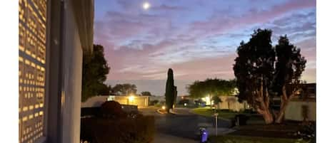 Side Patio View
