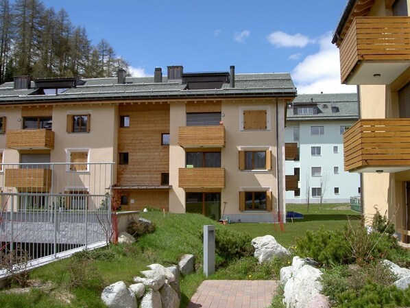 Picture 1