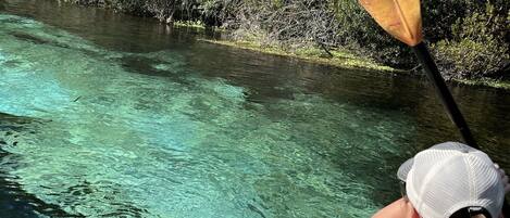 Weeki Wachee Springs State Park
