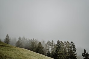 Land view from property