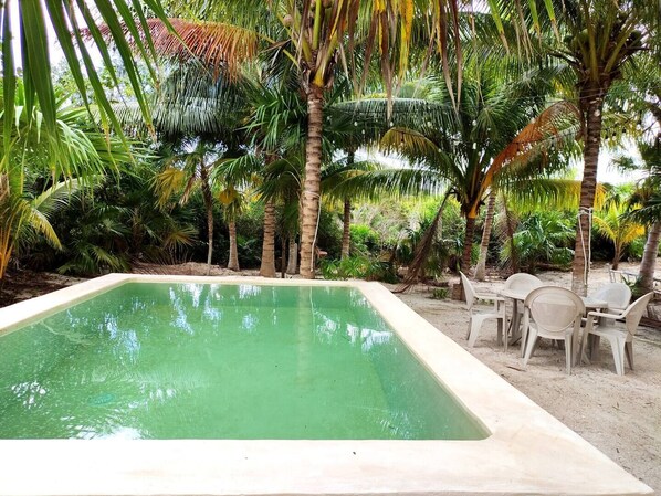 Private pool with large backyard