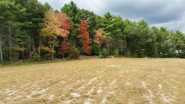 Open Area