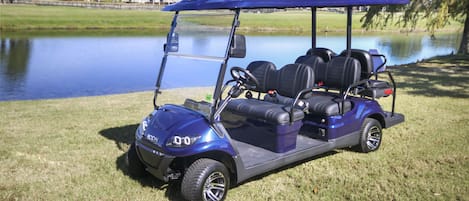 6-Seat Golf Cart Included