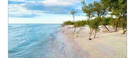 Honeymoon Island